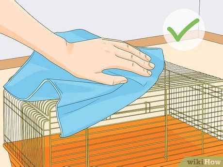 How to Clean a Rat's Cage (with Pictures) - wikiHow