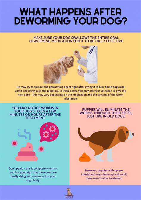 PPT How often should you deworm your pet? Wormer for Pets VetSupply