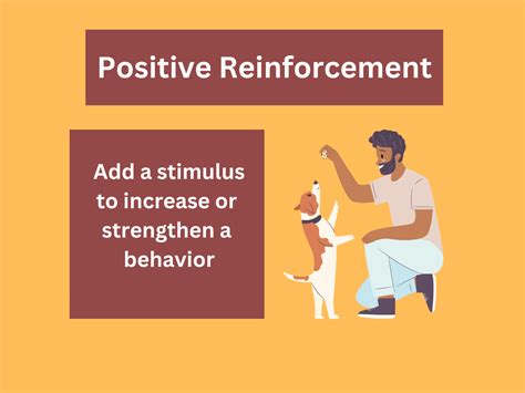 How Positive Reinforcement operate
