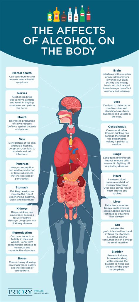 How Promilej Affects Your Body