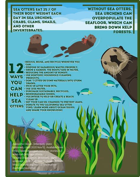 How Sea Otters Help Save The Planet Worksheet Answers