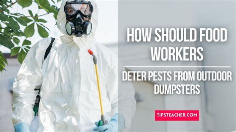 How Should Food Workers Deter Pests From Outdoor Dumpsters Quizlet?