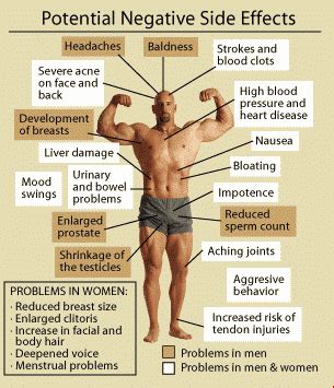 How Supplements Work in the Body Side Effects and Information about Steroids and Supplements