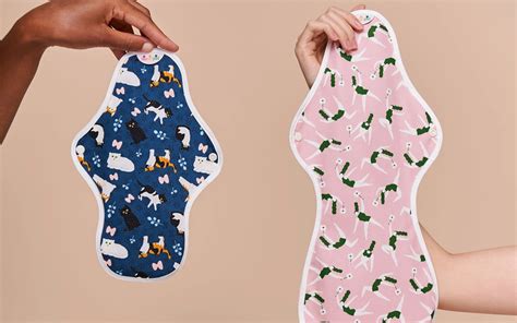 How Sustainable And Affordable The Sanitary Pads Brainly