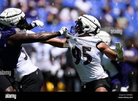 How Tavius Robinson Works: A Plain-English Breakdown
