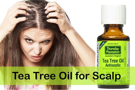 The Power of Melaleuca: How Tea Tree Oil Tackles Dry Scalp