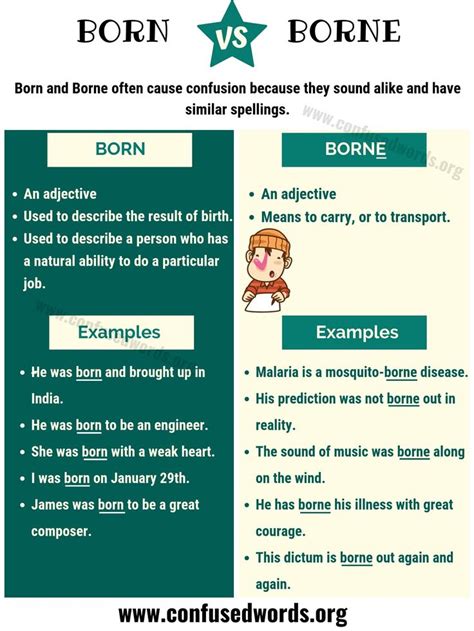 How To Use Borne In A Sentence