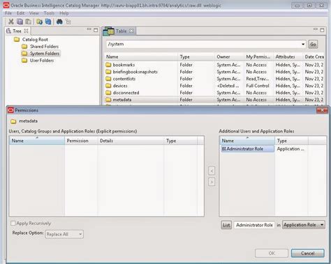 How To Access Catalog Manager In Obiee 11g