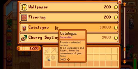 How To Access Catalogue Stardew