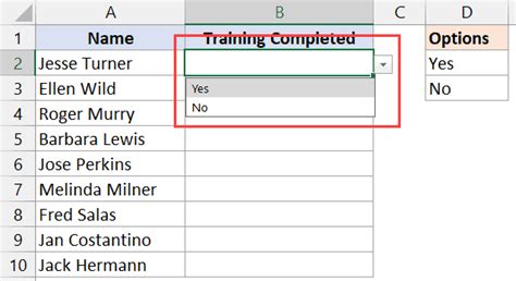 How To Add Yes Or No In Excel