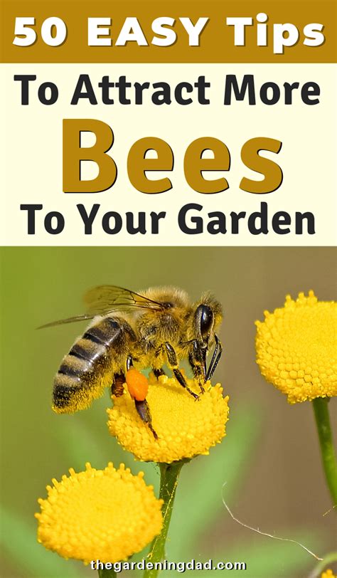 How To Attract Bees To A Garden
