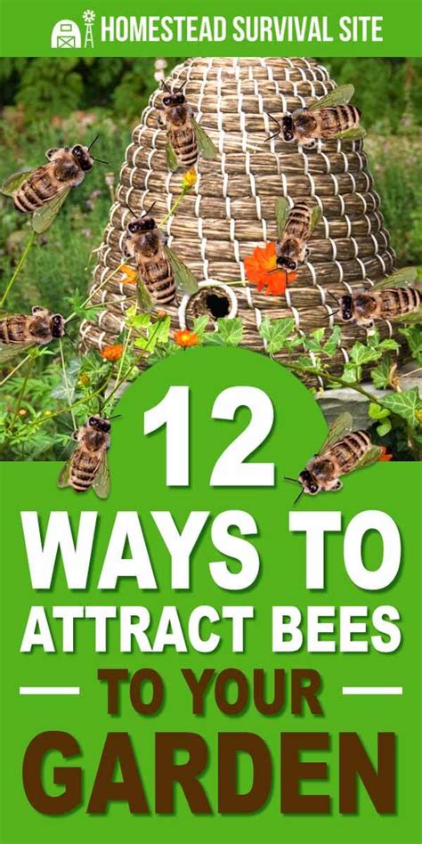 How To Attract Bees To A Garden