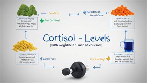How To Balance Your Cortisol Levels For Weight Loss