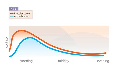 How To Balance Your Cortisol With Morning Sunlight