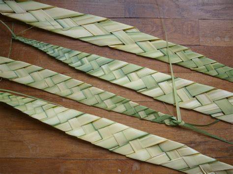 How To Braid Palm Leaves