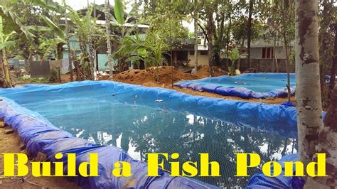 How To Build A Fish Farm In Big Business