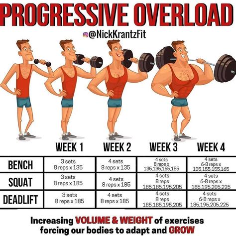 How To Build Muscle With Progressive Overload Training