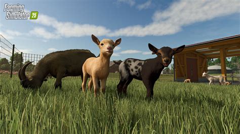 How To Buy Animals On Farming Simulator 15