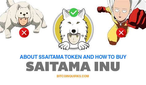 Unleash Your Inner Investor: Master the Art of Buying Saitama Inu Today!