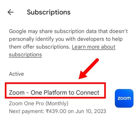 How To Cancel Zoom Subscription