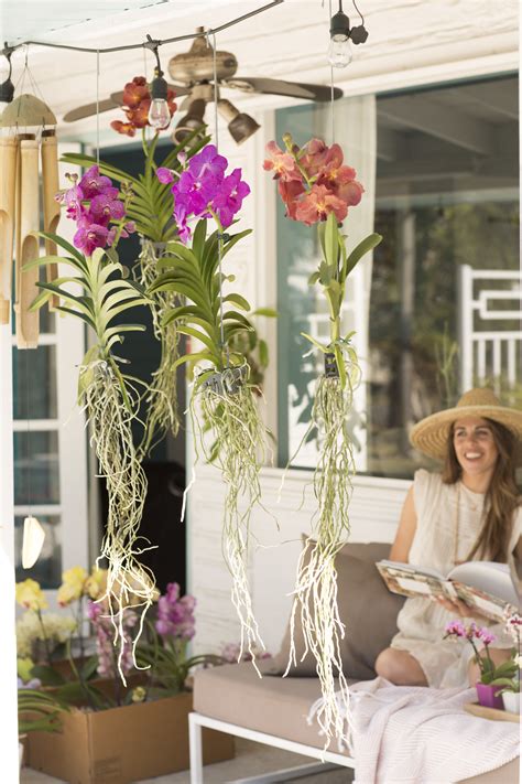 How To Care For Orchids Outside
