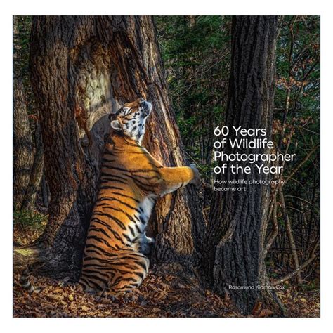 How To Catalog Years Of Photography In Books