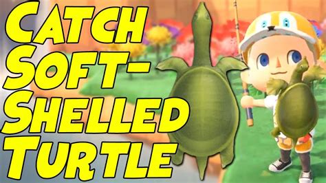 Catch Softshell Turtle in Animal Crossing: New Horizons - A How-To Guide for Players!