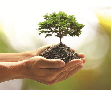 10 Creative Ways To Celebrate Arbor Day: Planting Trees, Community Events, and More!