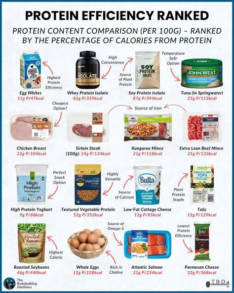 How To Choose The Best Protein For Muscle Maintenance
