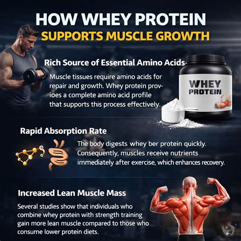 How To Choose The Best Protein For Muscle Repair And Growth