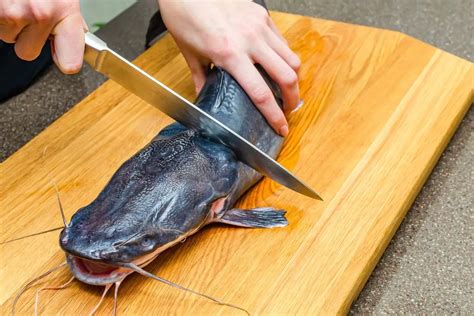 Gone Fishin' Made Easy with our Top Tips on Cleaning Catfish Without Skin: The Ultimate Guide!