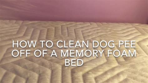 How To Clean Dog Pee Off Memory Foam Mattress