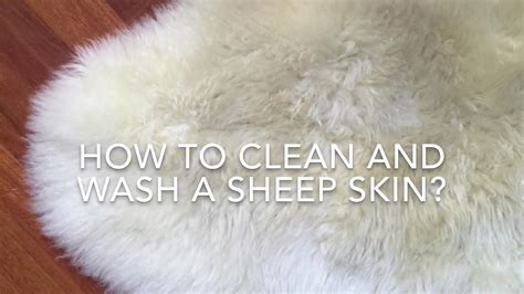 Unlock the Secrets to Impeccable Sheep Skin Care: A Step-by-Step Guide to Cleaning and Revitalizing Your Prized Possession