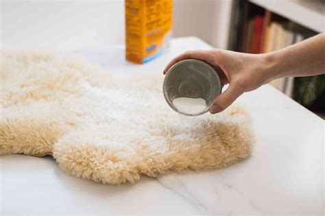 Transform Your Grubby Sheepskin Rug into an Incredibly Soft and Flawless Piece Using These Cleaning Techniques!