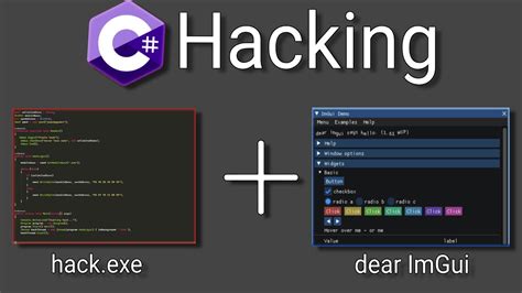 How To Code a Hack For ANY Game! C# - Game Hacking #1 