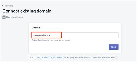 How To Connect Domain To Shopify