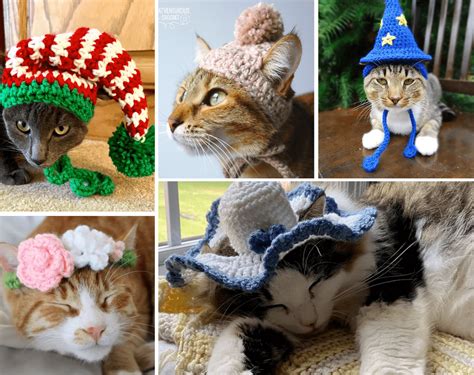 How To Crochet Hats For Cats