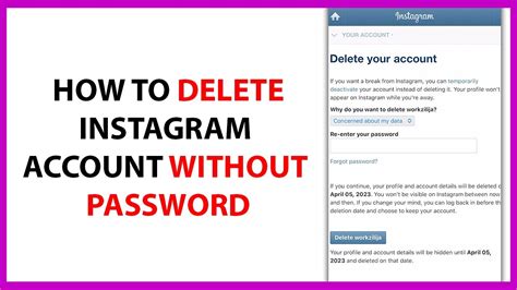 Step-by-Step Guide on How to Easily Delete an Instagram Account without Needing a Password