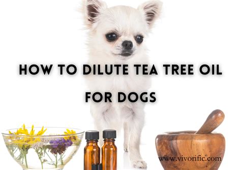 10 Simple Steps to Dilute Tea Tree Oil and Pamper Your Dog's Skin to Perfection!