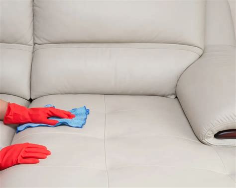  Protect Your Family Now: The Ultimate Guide to Safely Disinfecting Your Precious Leather Couch