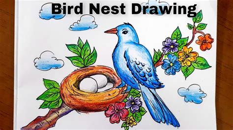 How To Draw A Bird In A Nest
