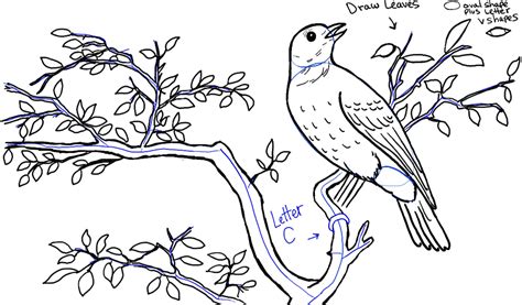 How To Draw A Bird On A Tree