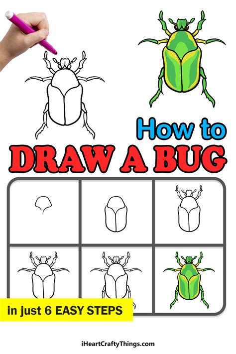 How To Draw A Bug Step By Step