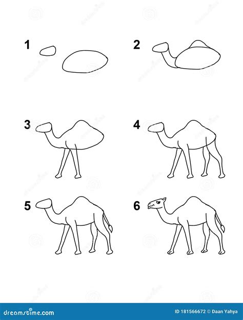 How To Draw A Camel Step By Step