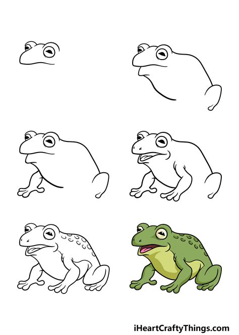 How To Draw A Cane Toad