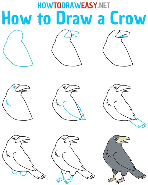 How To Draw A Crow Step By Step