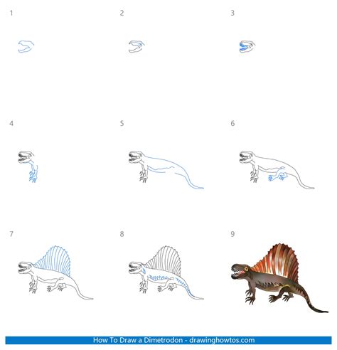 How To Draw A Dimetrodon