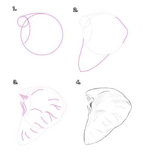 How To Draw A Elephant Ear