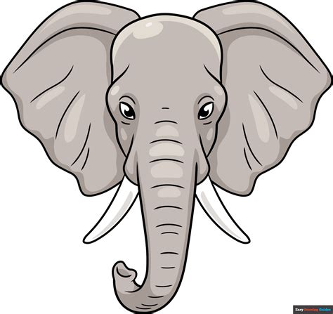 How To Draw A Elephant Face
