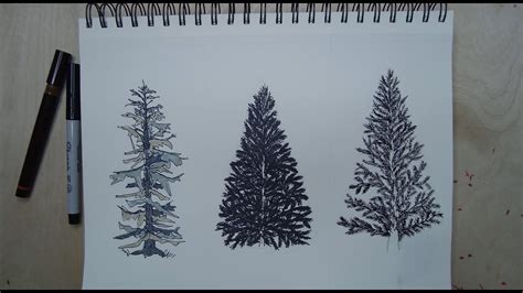 How To Draw A Evergreen Tree
